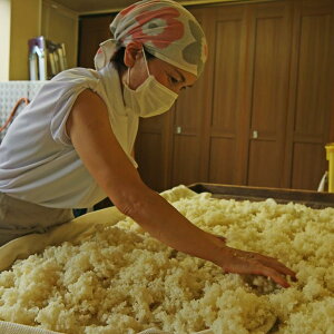 富士山の恵みからつくった魔法の調味料「塩糀」160g6本セット