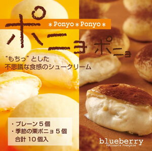 とろ〜りクリーム&もちもち生地の新食感のシュークリーム「ポニョポニョ&季節のポニョ」10個セット※北海道・九州・沖縄・離島への発送不可