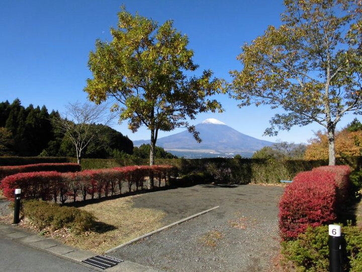 楽天市場 ふるさと納税 乙女森林公園第２キャンプ場宿泊券 テントサイト 5名 静岡県御殿場市