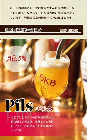 【ふるさと納税】御殿場高原ビールおもてなしセット【お酒ビール】