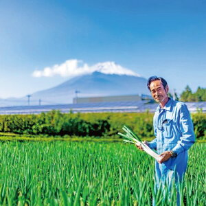 【ふるさと納税】富士山の麓で育った「白ネギ」3kg【野菜】