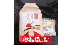 【ふるさと納税】年4回定期便！特別栽培米5kgとおためし八穀米◇