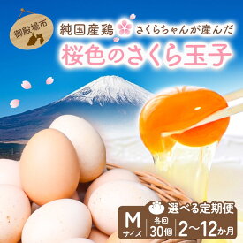 【ふるさと納税】【定期便】【選べる配送回数】純国産鶏さくらちゃんが産んだ桜色のさくら玉子 五分咲き（Mサイズ）30個 ｜ 卵 鶏卵 たまご タマゴ 生卵 たまごかけご飯 濃厚 甘み 国産