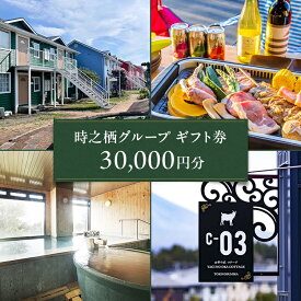【ふるさと納税】時之栖グループギフト券（30,000円分） | 母の日 宿泊券 富士山 リゾート ホテル 旅行 トラベル 観光 貸切 ギフト券 利用券 旅行券 共通利用 食事券 グルメ ときのすみか 時の栖 時のすみか 温泉 ヴィラ グランピング 体験 ショッピング 静岡県 御殿場市