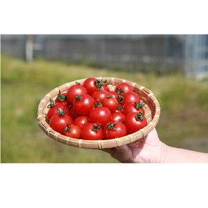 【ふるさと納税】機能性表示食品　Hapitoma ハピトマ　糖度6（1kg）　【野菜・トマト・ミニトマト・機能性表示食品・とまと】