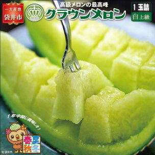 クラウンメロン（白上級）1玉入 お届け：◆返礼品到着後、...