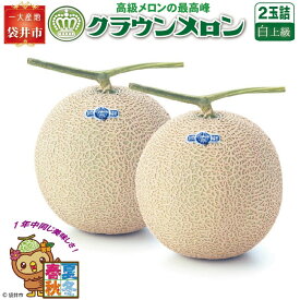 【ふるさと納税】クラウンメロン（白上級）2玉入 　お届け：◆返礼品到着後、すぐに状態をご確認ください◆