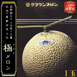 【ふるさと納税】クラウンメロン”極メロン”1玉入 ギフト箱入り  お届け:◆返礼品到着後、すぐに状態をご確認ください◆