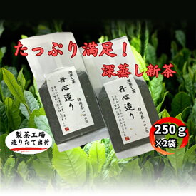 【ふるさと納税】たっぷり満足！深蒸し新茶（250g×2袋）　お届け：5月中旬～