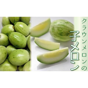 yӂ邳Ɣ[ŁzwNE̎qx  lC I Mtg 蕨 fU[g O t[c ʕ ܈s ʕ  @͂FԗiAɏԂmF