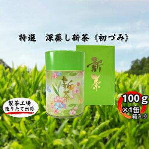 yӂ邳Ɣ[ŁzI@[VsÂ݁ti100g×1ʁj@͂F5{`