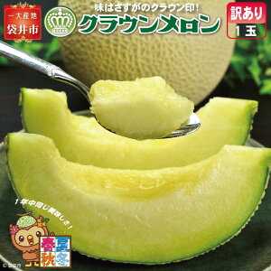 yӂ邳Ɣ[ŁzwNE 󂠂  1ʁx É }XN  t[c ʕ fU[g @͂FԗiAɏԂmF