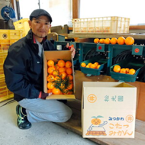 yӂ邳Ɣ[Łz݂@10kgiTCY낢EPijyzBsn悠z ʕ k t[c ~ ~̖o fU[g  B݂ Ö _ oX Yn 