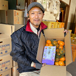 yӂ邳Ɣ[Łz݂@ÉZbgiƃP݂5kgjyzBsn悠z ʕ k t[c ~ ~̖o fU[g B݂ Β [ eB[obO Yn