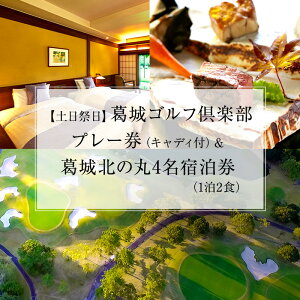 yӂ邳Ɣ[Łzk̊ StvCiyՓLfBtj 4hi12HjlC I  O Ƒ vw É s v[ ܈s St p h`Pbg Ht
