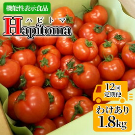 【ふるさと納税】【12ヶ月定期便】機能性表示食品 Hapitoma ハピトマ 訳あり（1.8kg）【配送不可：北海道・沖縄・離島】健康 ヘルシー 人気 厳選 野菜 緑黄色野菜 産地直送 ダブル成分 GABA リコピン トマト 国産 静岡県産 袋井市産 食材