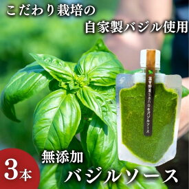 【ふるさと納税】温室野菜 sano 生バジルソース3本セット 加工食品 ソース