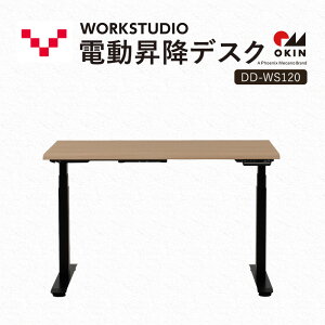 yӂ邳Ɣ[ŁzWORKSTUDIO d~fXN DD-WS120NLB oo[j [g[N ݑ e[N p\RfXN d ~ OKIN [NfXN [  É ܈s