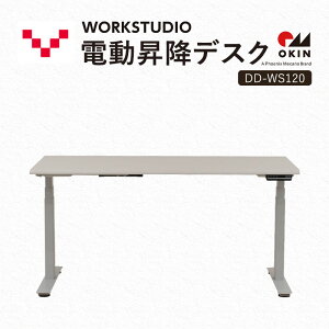 yӂ邳Ɣ[ŁzWORKSTUDIO d~fXN DD-WS120WNW oo[j [g[N ݑ e[N p\RfXN d ~ OKIN [NfXN [  É ܈s