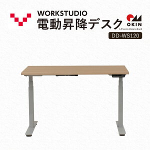 yӂ邳Ɣ[ŁzWORKSTUDIO d~fXN DD-WS120NLW oo[j [g[N ݑ e[N p\RfXN d ~ OKIN [NfXN [  É ܈s