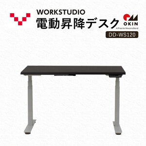 yӂ邳Ɣ[ŁzWORKSTUDIO d~fXN DD-WS120DAW oo[j [g[N ݑ e[N p\RfXN d ~ OKIN [NfXN [  É ܈s