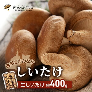 yӂ邳Ɣ[ŁzyBǂ܂Ȃz  400g ő Yn Y  f o` { AJx  É ܈