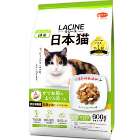 【ふるさと納税】ラシーネ 日本猫 600g x10(ケース単位) キャットフード