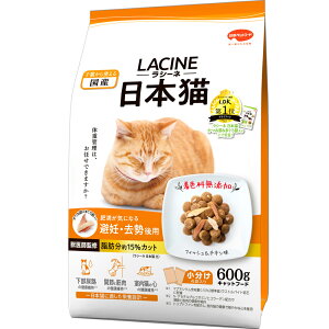 yӂ邳Ɣ[ŁzV[l {L DEp 600g x10(P[XP) Lbgt[h