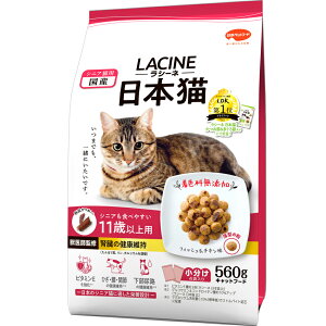 yӂ邳Ɣ[ŁzV[l {L 11Έȏp 560g x10(P[XP) Lbgt[h