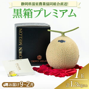 【ふるさと納税】黒箱プレミアム (冬9〜2月) 果物 メロン 青肉 フルーツ デザート 高級メロン ブランドメロン 袋井市 静岡県 お届け:2025年9月1日〜2026年2月28日まで