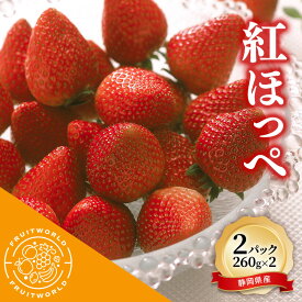 【ふるさと納税】JA遠州中央 紅ほっぺ いちご 2パック 260g×2 遠中 静岡県 静岡 袋井市 袋井 イチゴ 苺 贈答 フルーツ 果物 くだもの 人気　お届け：2027年1月11日～2027年2月28日まで