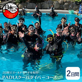 【ふるさと納税】 資格取得 ダイビング 海 PADI ライセンス コース 2日間