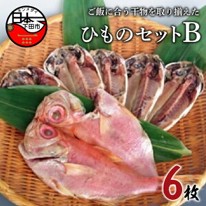 yӂ邳Ɣ[Łz  Y Zbg ڑ  2 6 lߍ킹   ܂  y Mtg  ق Ђ̃ZbgB É ɓ c 