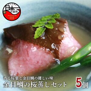 yӂ邳Ɣ[Łz ڑ  5  񂩂 lߍ킹 Zbg   ߂ڑ ܂  y  Y  Mtg É ɓ c ق ڑ̍