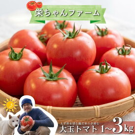 【ふるさと納税】 選べる 発送月 容量 大玉トマト 良品 先行予約 容量 1kg 2kg 3kg 発送月 2月～5月 トマト とまと 野菜 やさい 旬 サラダ パスタ 季節限定 産地直送 大玉トマト トマトジュース ギフト プレゼント 贈答 贈り物 静岡県産 栄ちゃんファーム 静岡県 下田市