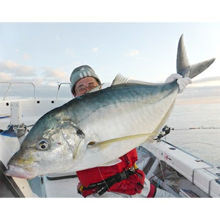 楽天市場 ふるさと納税 体験 釣り コマセ 海 船 旅行 レジャー 神子元島 静岡県下田市