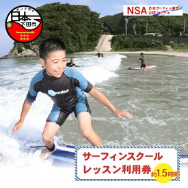 【ふるさと納税】 サーフィン スクール レッスン 1レッスン利用券 体験 アウトドア スポーツ 海 アクティビティ マリンスポーツ レジャー 白浜海岸 伊豆 下田 白浜マリーナ