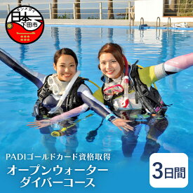 【ふるさと納税】 PADIゴールドカード 資格取得ダイビング 3日間 オープンウォーターダイバーコース