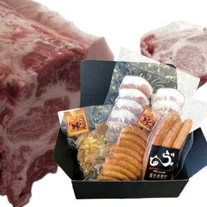 yӂ邳Ɣ[Łzxm؁@؃[XubN5`6kg{oGeBZbg  \[Z[W