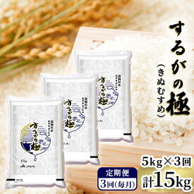 【ふるさと納税】《定期便3回》するがの極（きぬむすめ）5kg袋 計15kg（3袋）【お米・5kg・定期便・3回】　【定期便・ 米 精米 厳選 一等米 美味しい 】