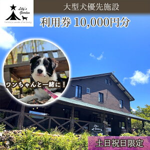 yӂ邳Ɣ[Łzyyjz Lily's Garden p 10,000~ ybgƔ܂  ^ D ybg   s É ɓ h R s ό