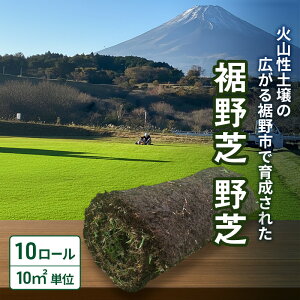 yӂ邳Ɣ[ŁzŁiŁj10[i10m2jPʁ@ Ő K[fjO DIY  VR VR ō s É