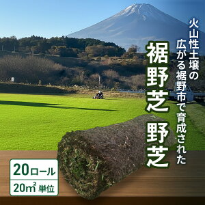 yӂ邳Ɣ[ŁzŁiŁj20[i20m2jPʁ@ Ő K[fjO DIY  VR VR ō s É