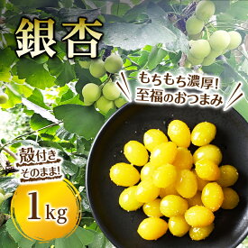 【ふるさと納税】銀杏 1kg ぎんなん ギンナン 裾野産 食材 食品 おつまみ 静岡県 裾野市　お届け：2026年10月1日から2027年1月20日まで