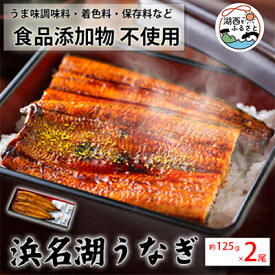 【ふるさと納税】食品添加物不使用の浜名湖うなぎ　蒲焼2尾(約125g×2)【配送不可地域：離島】【1472420】