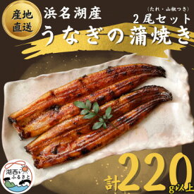 【ふるさと納税】【国産】浜名湖うなぎ蒲焼き110g以上　2本セット(たれ・山椒付き)【配送不可地域：離島】【1487458】