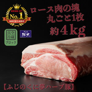 yӂ邳Ɣ[ŁzΐsYuh؁uӂ̂ɖn[u؁v[X(ubNE)4kg ^(①)yzsnFzy1495041z