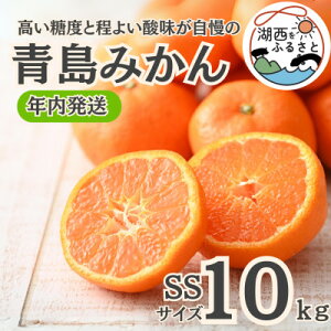 yӂ邳Ɣ[ŁzyNzy12{菇oח\z݂10kg SSkؔ_ly1510091z