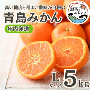 【ふるさと納税】【年内発送】【12月中旬より順次出荷予定】青島みかん約5kg Lサイズ〔鈴木農園〕【1510097】