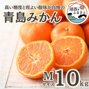 yӂ邳Ɣ[Łzys\zy2026N1{菇oח\z݂10kg MTCYkؔ_ly1510099z
